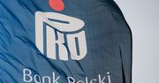 Koronawirus a wyniki wyszukiwania. PKO Research zauważa ciekawą analogię