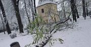 Jarosław: Mokry śnieg łamie drzewa. PGKiM apeluje o ostrożność
