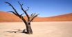 Namibia. Dolina Śmierci