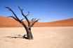Namibia. Dolina Śmierci
