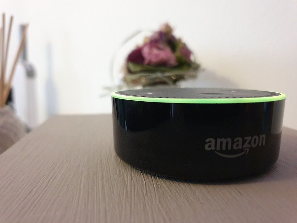 Amazon wytycza drogę gigantom. Ludzie dobrowolnie zaprosili do domów ponad 100 mln "zbieraczy danych"