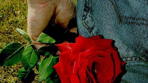 Podaruj sobie myszkę! Wyniki konkursu i życzenia 1