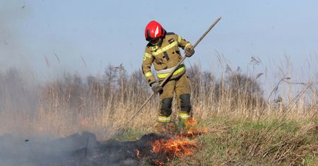 Pożar traw przy torach. Utrudnienia na linii Siedlce-Warszawa