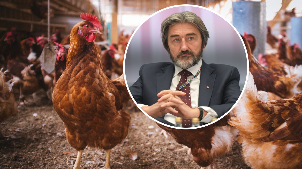 Andrzej Goździkowski jest prezesem Cedrobu