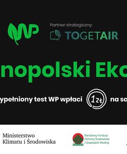 Co Polacy wiedzą o ekologii? Tak dużego badania jeszcze nie było. Oto wyniki