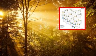Słońce na północy, deszcz na południu. Prognoza na czwartek
