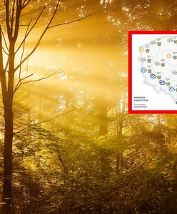 Słońce na północy, deszcz na południu. Prognoza na czwartek