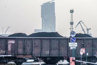 PGG sprzeda węgiel przez internet. Jest jeden warunek