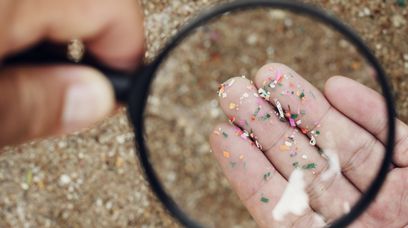 Mikroplastik we krwi i mięsie zwierząt. Czy szkodzi naszemu zdrowiu?