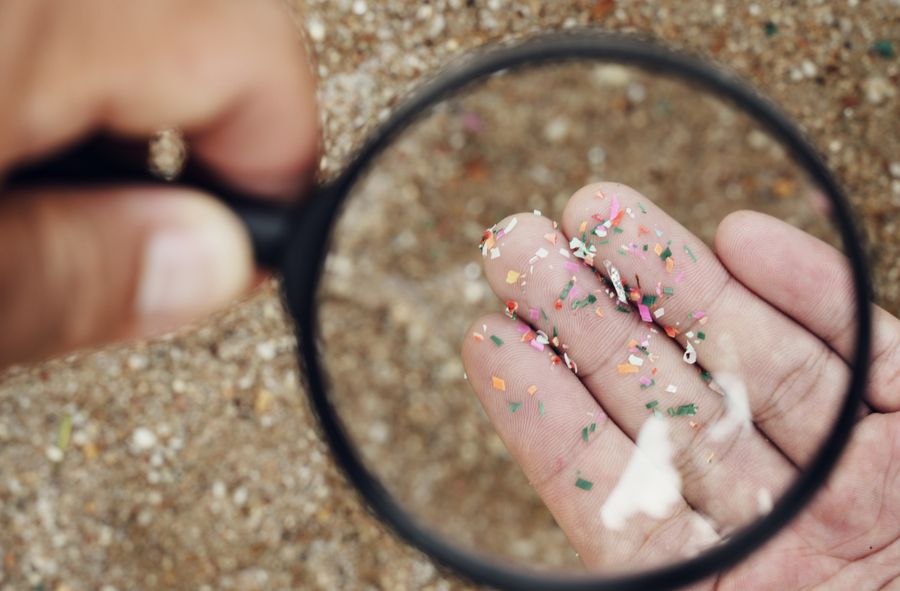 Mikroplastik we krwi i mięsie