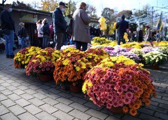 Rząd zamyka cmentarze. Prezydent stolicy chce pomóc sprzedawcom zniczy i kwiatów