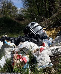 Zostawił śmieci w lesie, spotkała go kara. Nagranie z Tiktoka podbija sieć