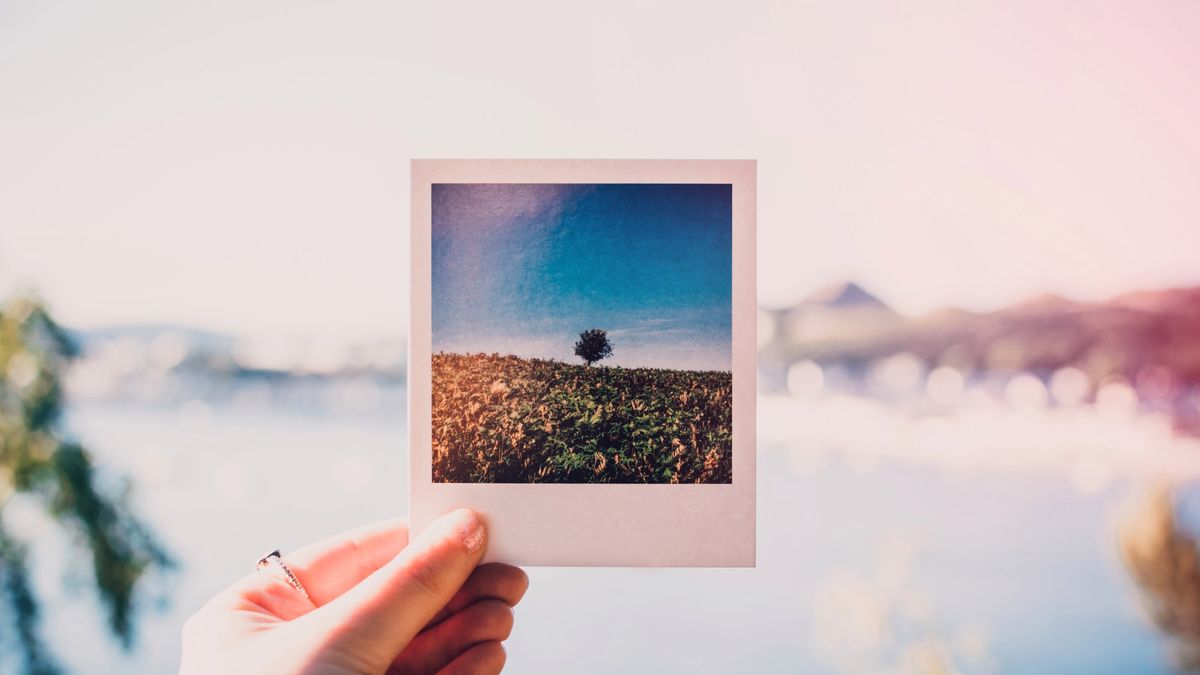 Shutterfly “nie ma budżetu”, żeby zapłacić za użycie zdjęć 1