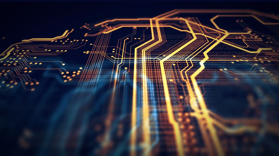 (fot. Shutterstock.com)