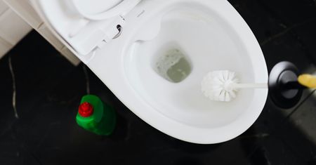 Jak czyścić szczotkę do toalety? Wystarczy jeden składnik