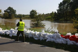 "Bezwzględny zakaz". Nawet 5 tys. zł kary za jego złamanie