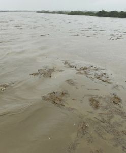 Mężczyzna zepchnął ojca z mostu. Nie miał siły dłużej się nim opiekować