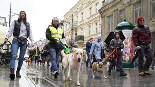 W samo południe ulicą Piotrkowską przeszła czworonożna parada. Zobaczcie, jakie słodziaki!