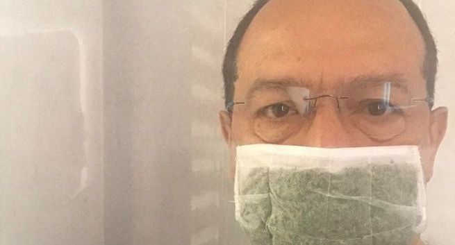 Polscy naukowcy przygotowali maseczkę z roślin zatrzymującą koronawirusa