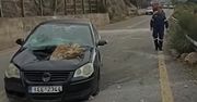 Para Greków przeżyła koszmar. To cud, że nikt nie ucierpiał [WIDEO]