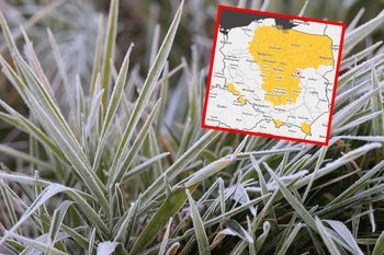 Nadchodzą przymrozki. Ostrzeżenia dla 12 województw