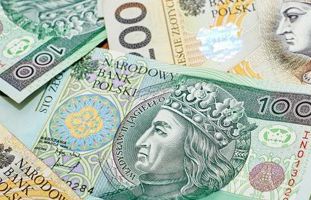 Połowa Polaków zirytowana pytaniami o zarobki, ale chcemy wiedzieć ile zarabiają inni