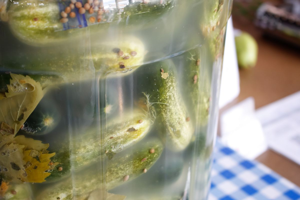 Zobacz, jak nie kisić ogórków? 