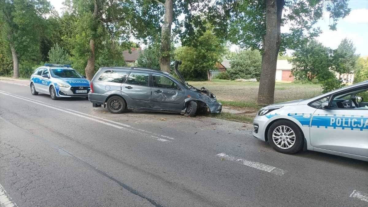 Kierowca uderzył w drzewo