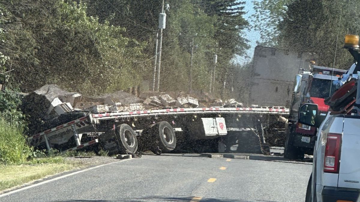 Mnóstwo pszczół na wolności po kolizji ciężarówki.