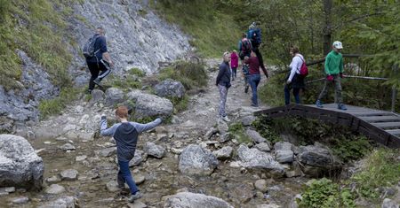 Koronawirus na koloniach w Małopolsce. Niemal 700 osób na kwarantannie