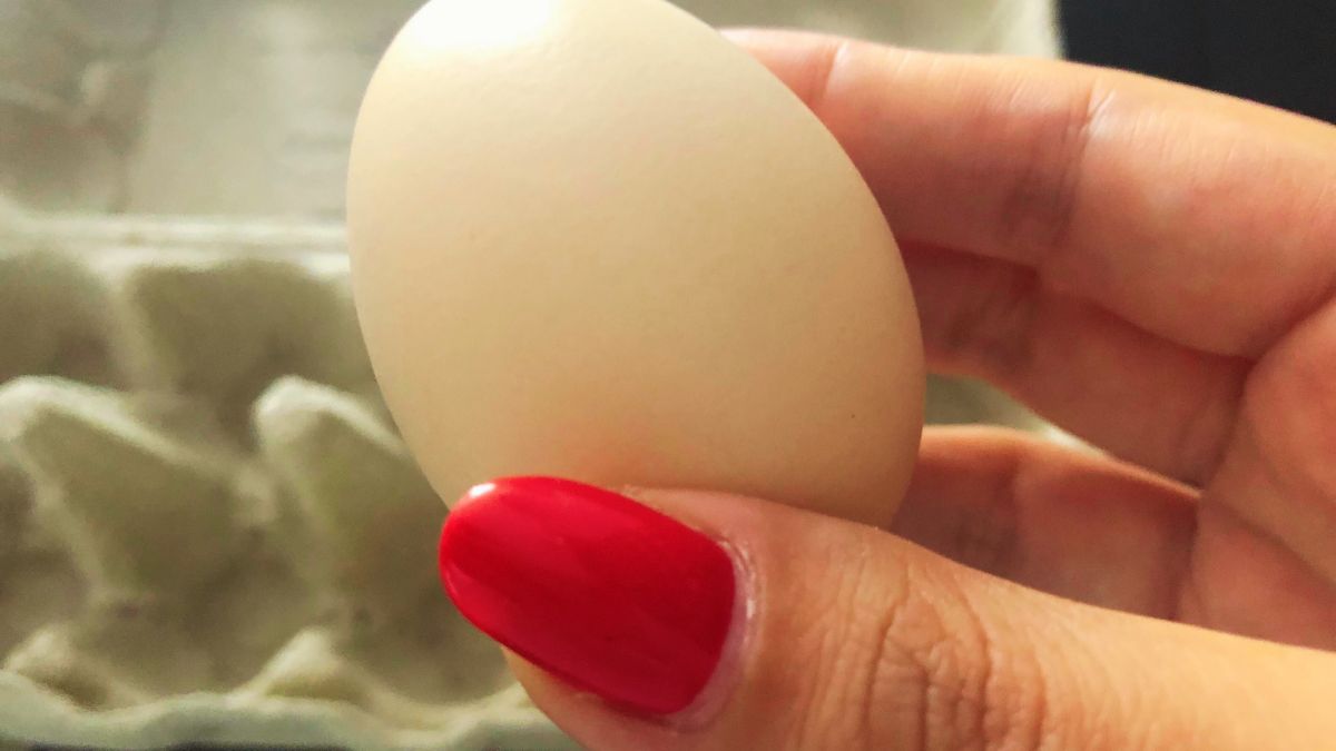 Trik z jajkiem przyda się w każdym domu