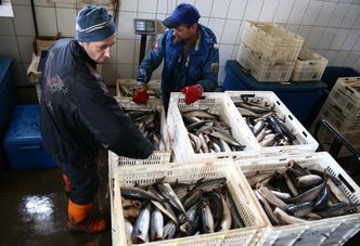 "Rybka" nad morzem? Tak, ale raz w tygodniu. "Organizm musi mieć czas, by się oczyścić"