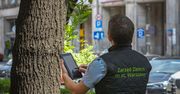 Warszawa. Miasto inwentaryzuje stołeczne drzewa