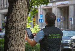 Warszawa. Miasto inwentaryzuje stołeczne drzewa