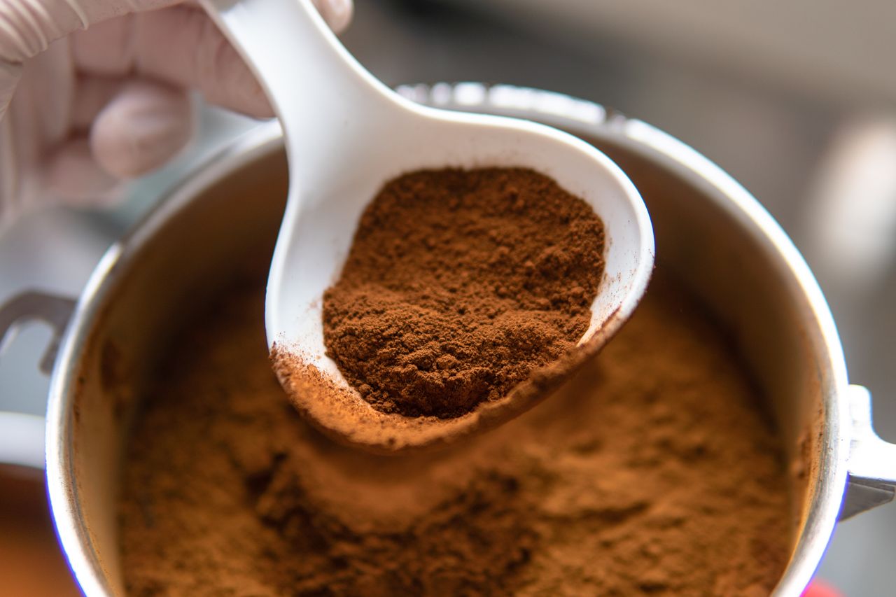 Mówią o nim "grzyb nieśmiertelności". Naturalna tarcza dla organizmu