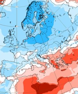 Pogodowa katastrofa na początku maja. Polska w centrum chłodnych anomalii