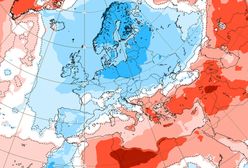 Pogodowa katastrofa na początku maja. Polska w centrum chłodnych anomalii