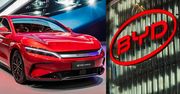 Problemy BYD w Chinach. Upadł duży dealer, salony zamknięte