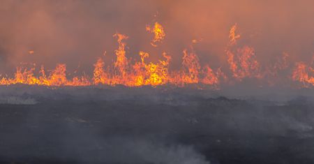 150 lat temu zabił 50 mln osób. Teraz powraca