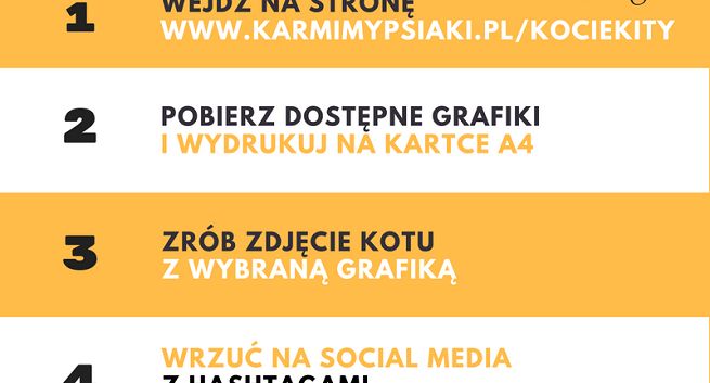 Macademian Girl, Red Lipstick Monster, Agnieszka Grzelak, Ewa Garyluk, Rafał Mohr i Beata Pawlikowska w akcji „Kocie Kity”