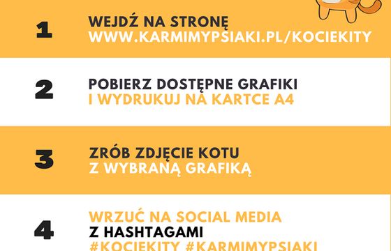 Macademian Girl, Red Lipstick Monster, Agnieszka Grzelak, Ewa Garyluk, Rafał Mohr i Beata Pawlikowska w akcji „Kocie Kity”