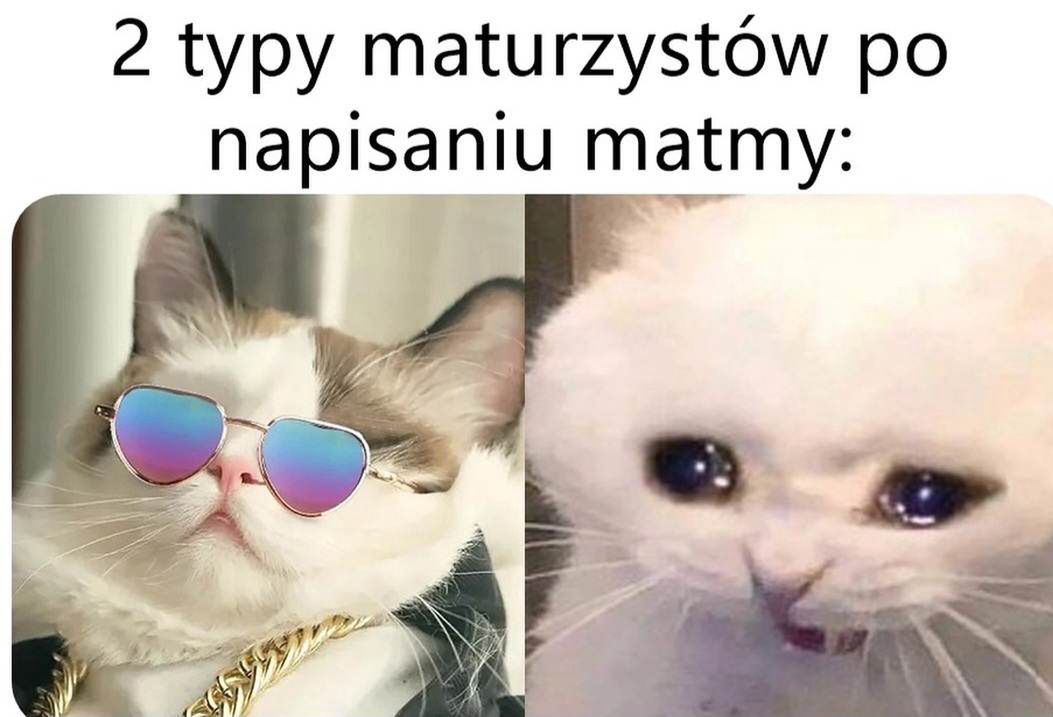 Memy na maturę.