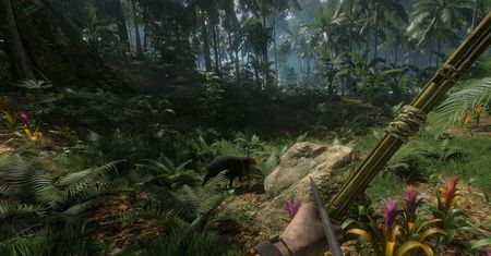 Polskie Green Hell zadebiutowało na Steamie - amazoński survival zbiera dobre oceny