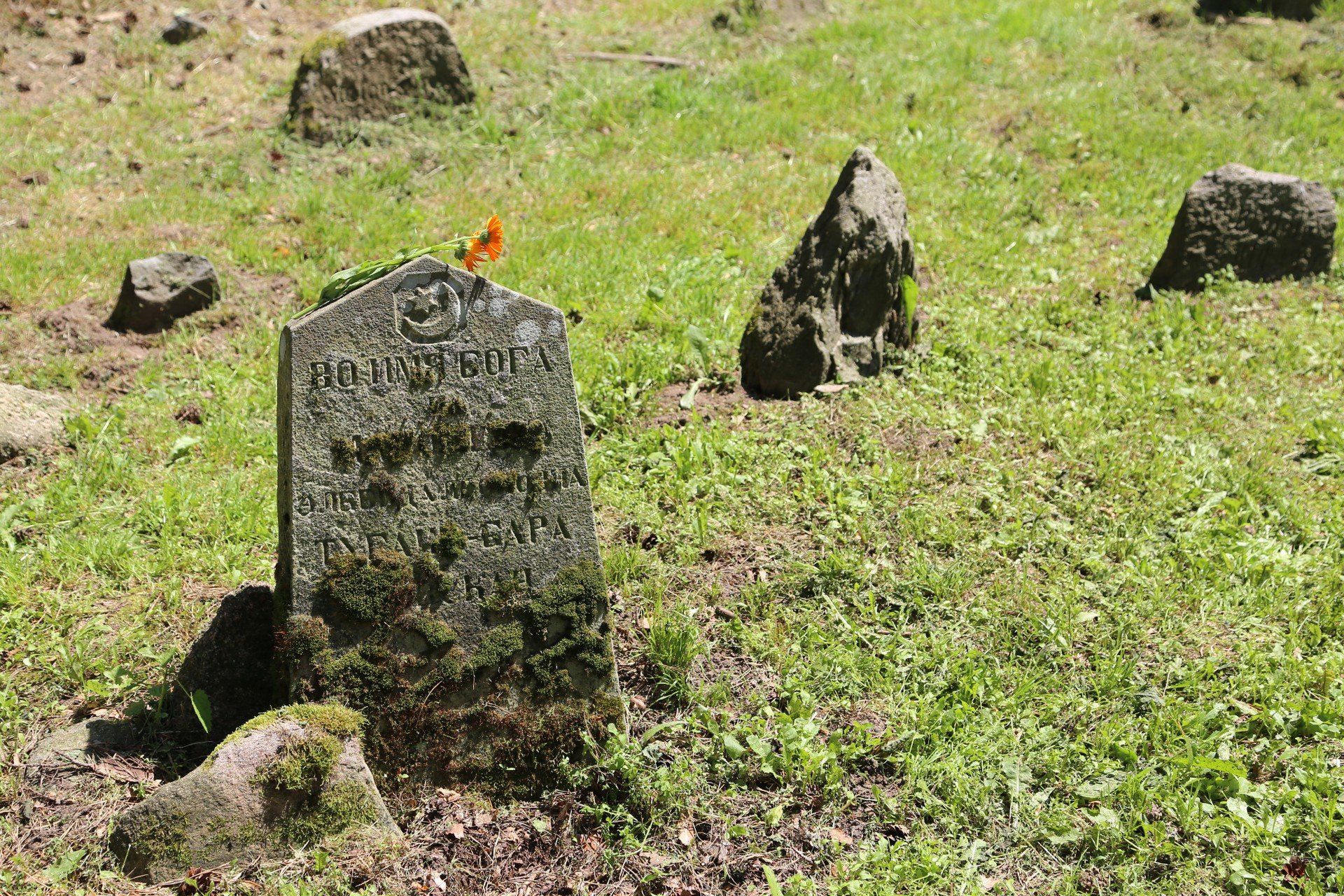 Mizar w Kruszynianach
