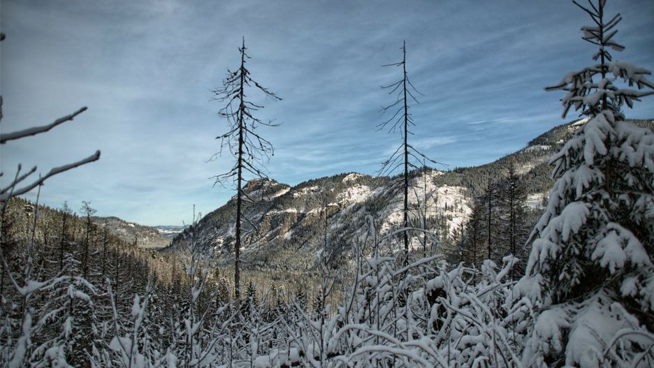 Tatry. Groźny wypadek w okolicach Morskiego Oka