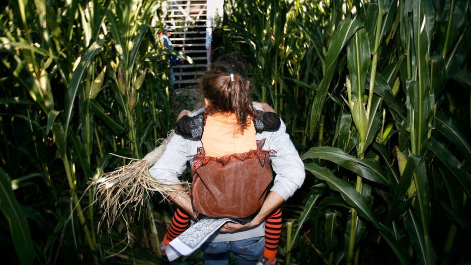 Turyści wchodzą do labiryntów także z małymi dziećmi 
