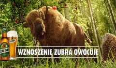 Żubr z jabłkiem dla jeży w reklamach piwa Żubr (wideo)