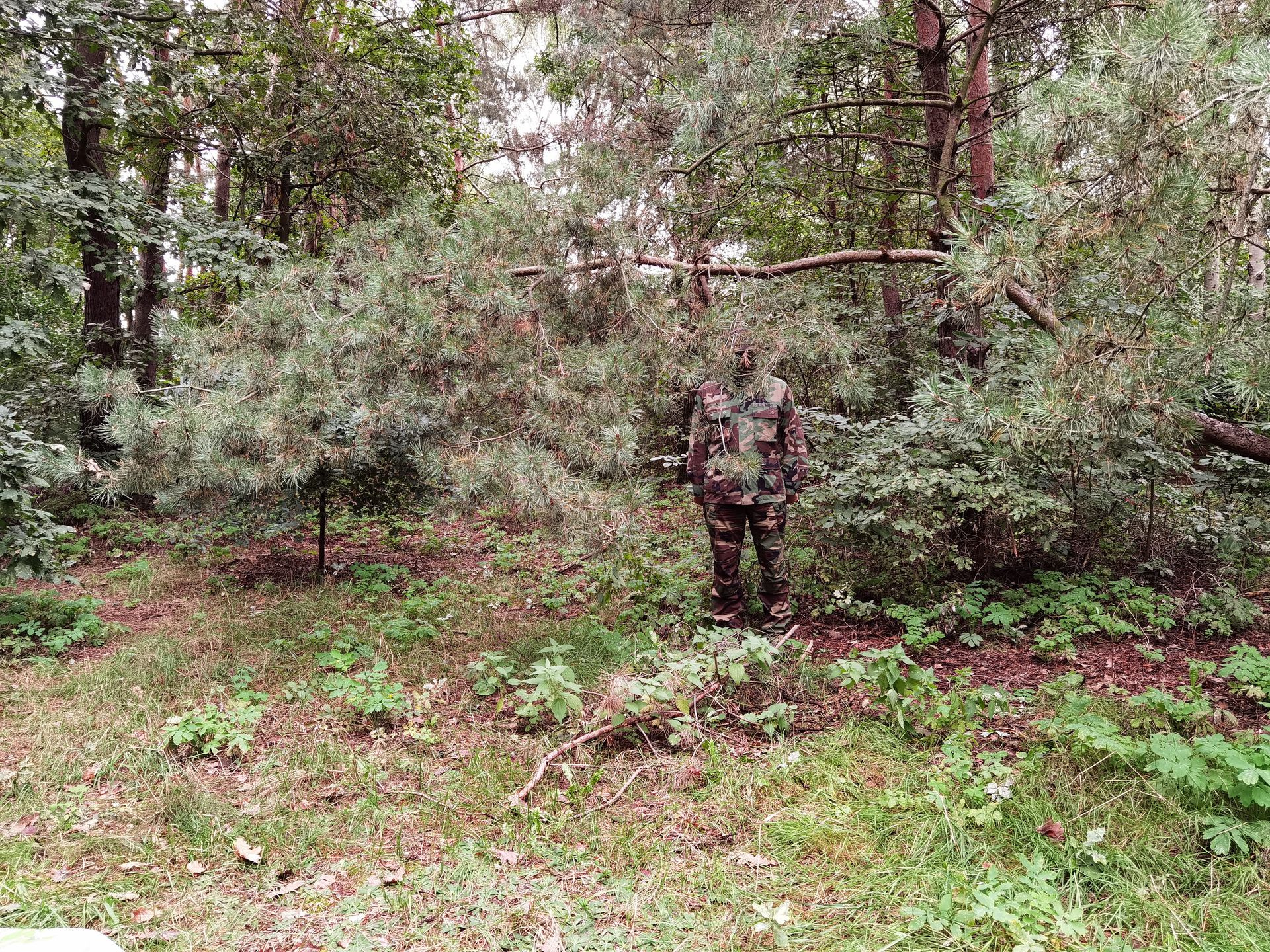 Kamuflaż M81 Woodland, lokalizacja druga