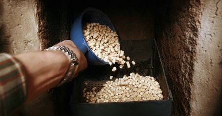 Tym Polacy palą w piecach. Dwa razy tańsze od pelletu. Są ostrzeżenia