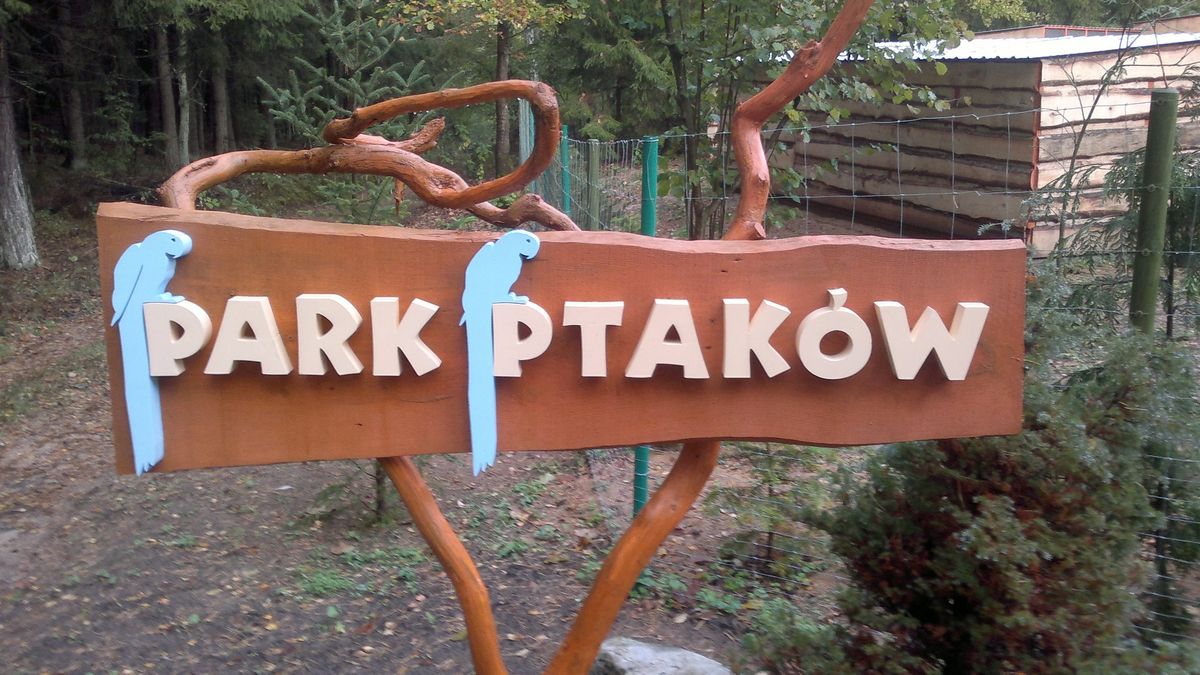 Ptaszarnia działała w Olsztynie od 13 lat 